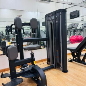 BH Fitness L830 Lumbar Extension Machine